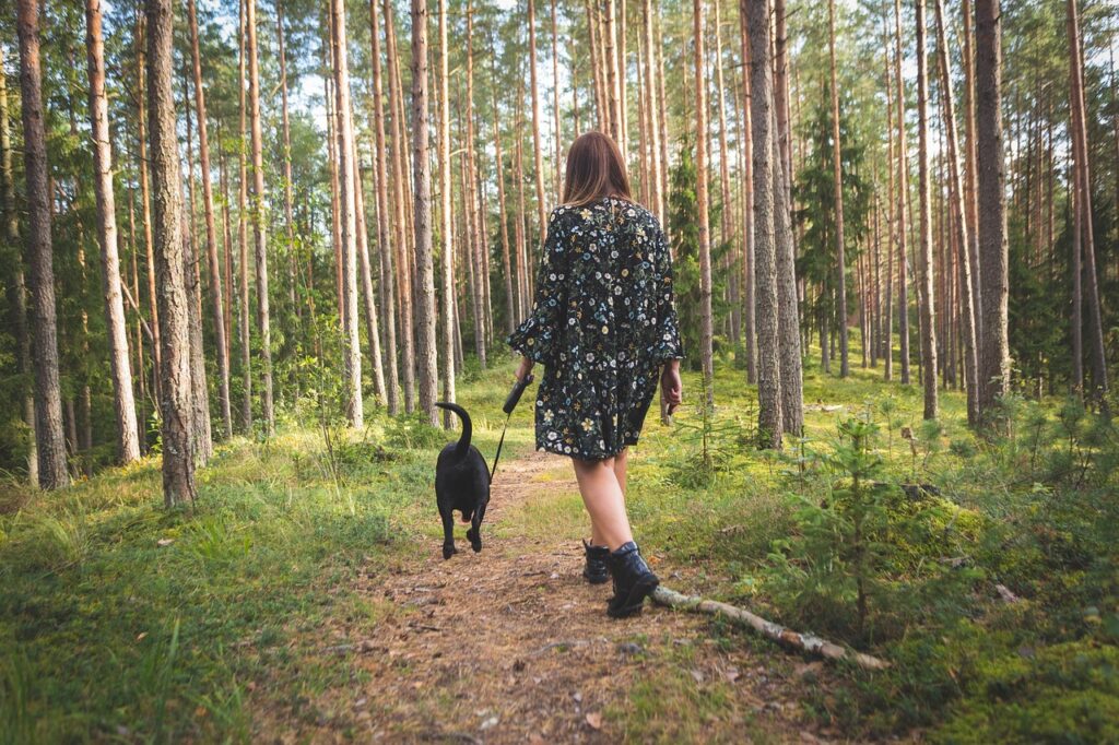 dog, nature, forest, landscape, animal, walk, autumn, cute, pet, walking, retriever, leaves, female, atmosphere, leisure, outdoors