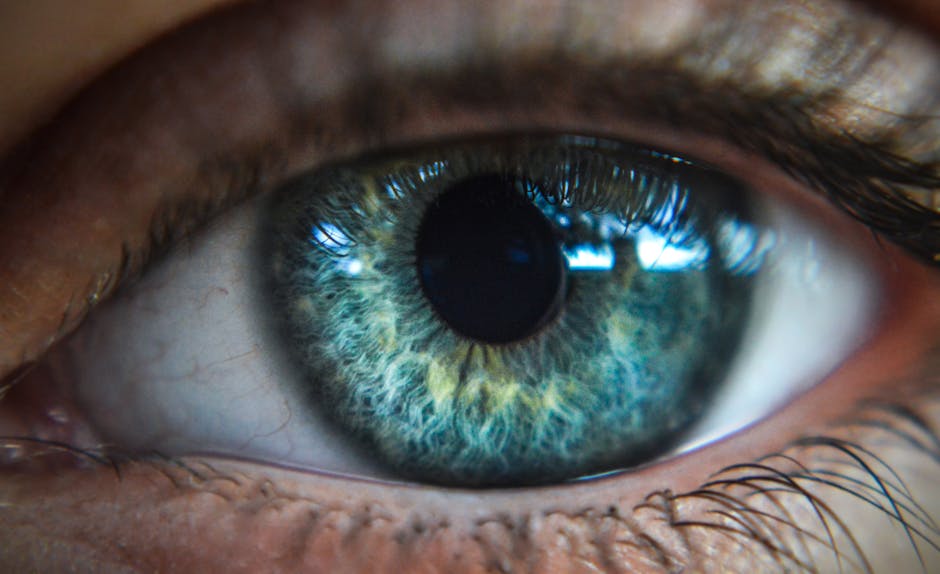 High-resolution close-up of a blue eye showcasing intricate iris patterns and eyelashes.